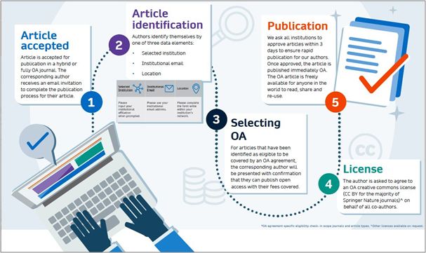 Springer Nature Editorial process