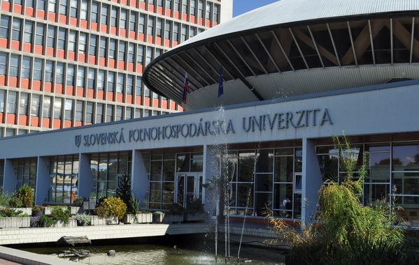 Main University Campus